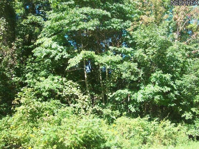 North Ridge Road West Geneva, OH 44041 - Photo 1 of 3 View from Chestnut Road. Interior contains old growth hardwood trees. Land has nice slope down from South Ridge Road, perfect for walk out basement. Please see attachments online for the plat map.
