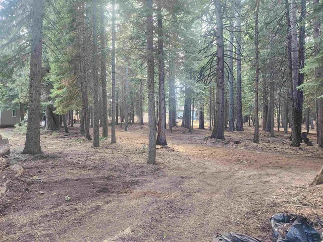 a view of outdoor space with trees