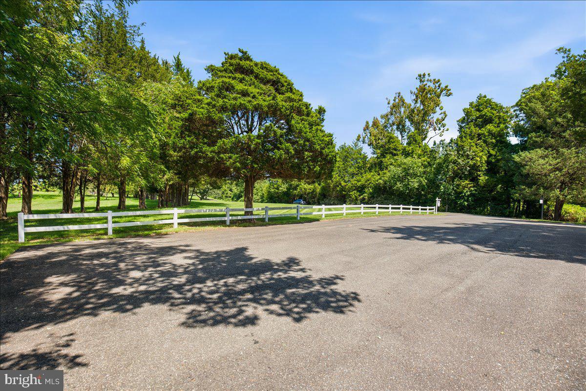 6110 Sheridan Point Road Prince Frederick, MD 20678 - Photo 19 of 77 Tranquil green retreat awaits you.