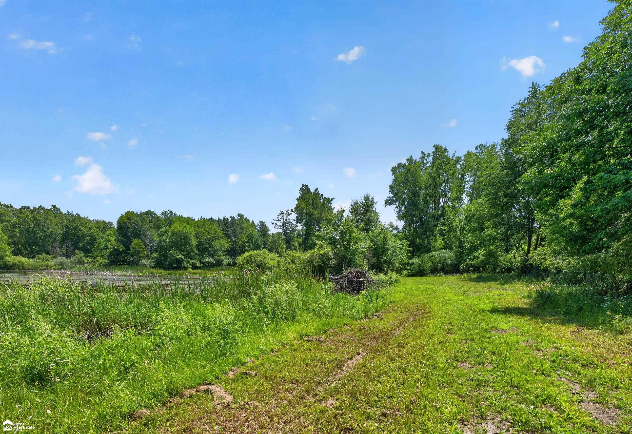 5498 Piersonville Road Columbiaville, MI 48421 - Photo 21 of 38