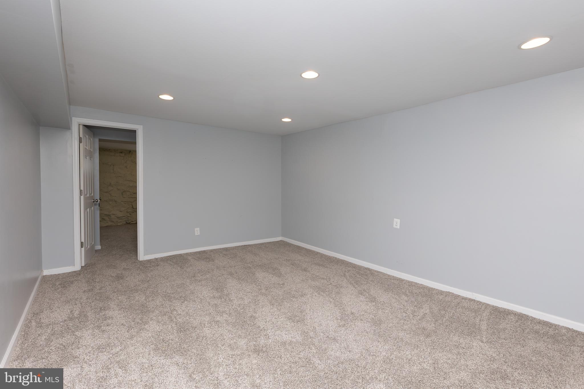 3659 Chestnut Avenue Baltimore, MD 21211 - Photo 15 of 20 Finished lower level