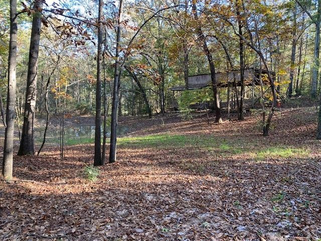 0 East Teems Road Ringgold, GA 30736 - Photo 2 of 6