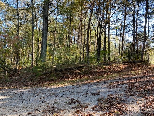 0 East Teems Road Ringgold, GA 30736 - Photo 5 of 6
