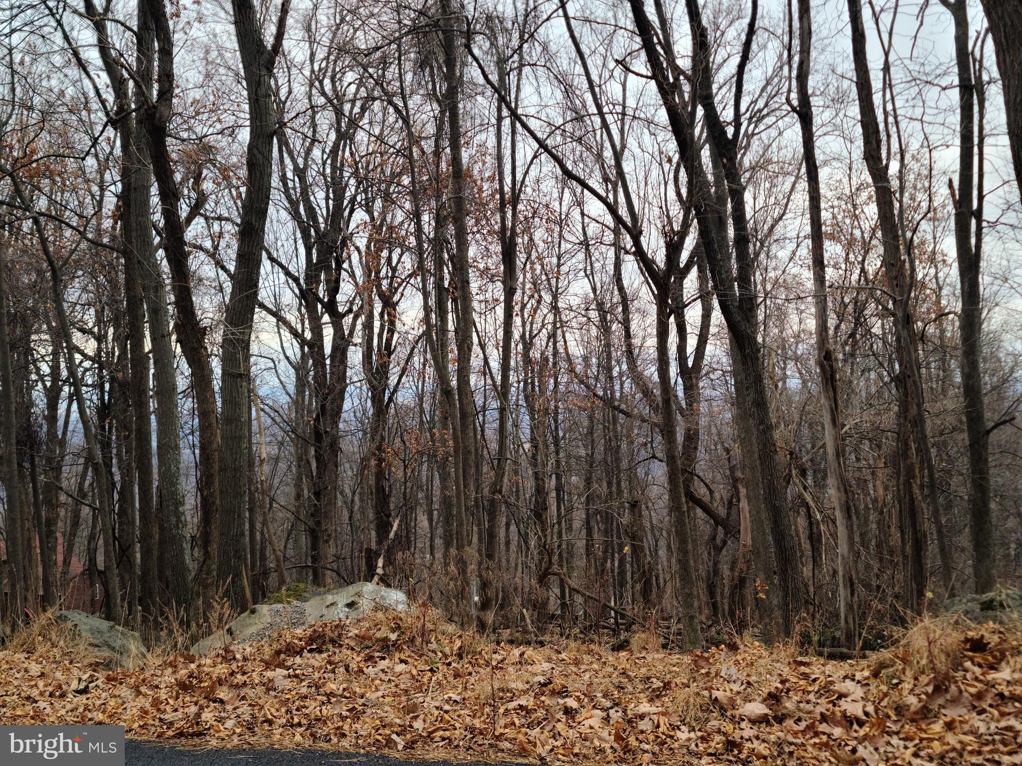 21 Deer Trail Road Front Royal, VA 22630 - Photo 2 of 98 Great Lot/views! No Sep HOA fee-incl in taxes!
