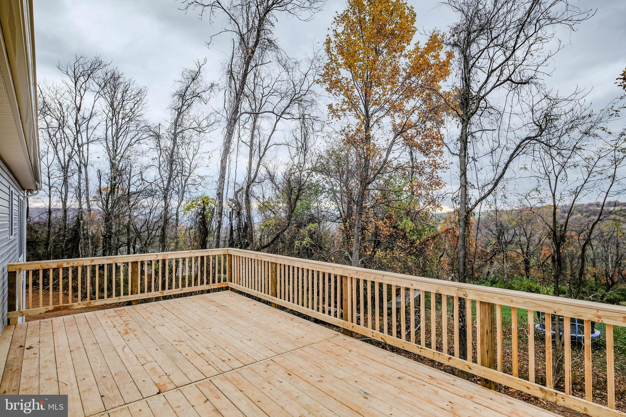 21 Deer Trail Road Front Royal, VA 22630 - Photo 79 of 98 12X24 REAR DECK Optional