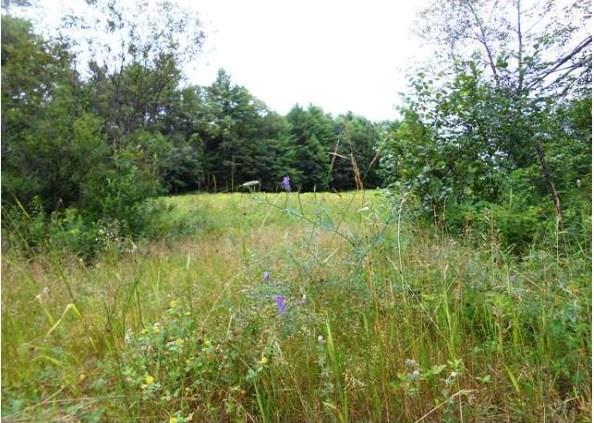 Tbd Winsaw Road New Gloucester, ME 04260 - Photo 4 of 6 Photo