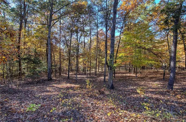 $899,900 | 2253 Hills Creek Road, Taylorsville, GA 30178