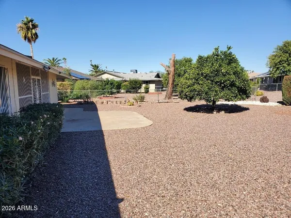 a view of a yard with plants