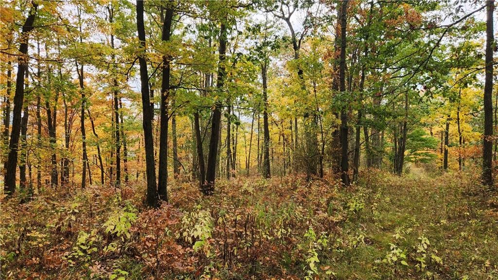 Hanyon Road Cameron, NY 14819 - Photo 29 of 34 Gallery Image 29