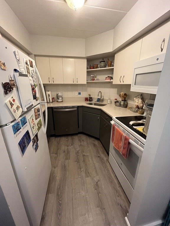 135 Pleasant Street, Unit 308 Brookline, MA 02446 - Photo 4 of 18