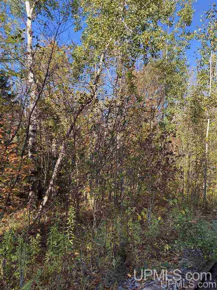 T-wi Wi 54534 Road Hurley, WI 54534 - Photo 19 of 35