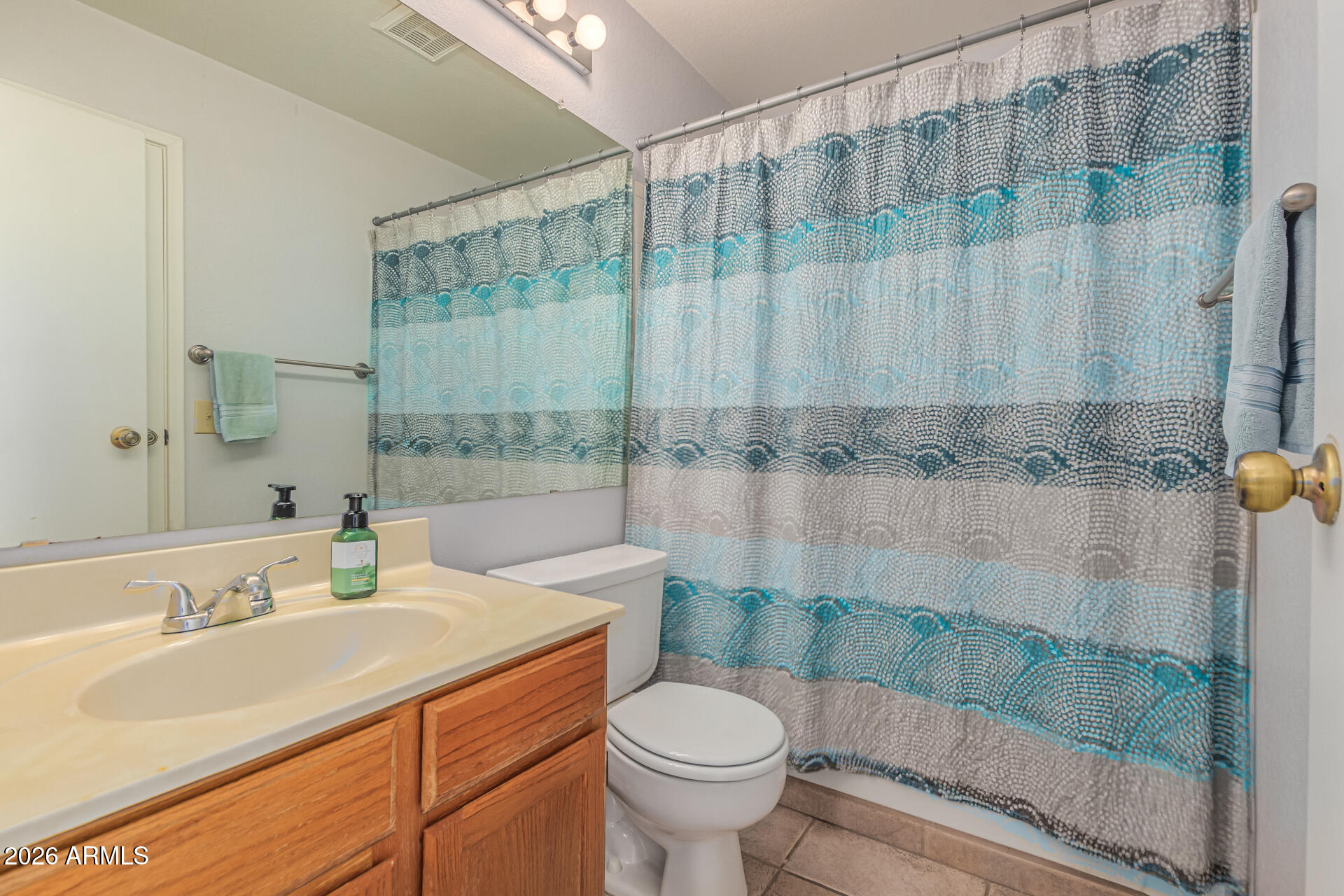 3904 West Butler Street Chandler, AZ 85226 - Photo 24 of 30 a bathroom with a sink a toilet and shower