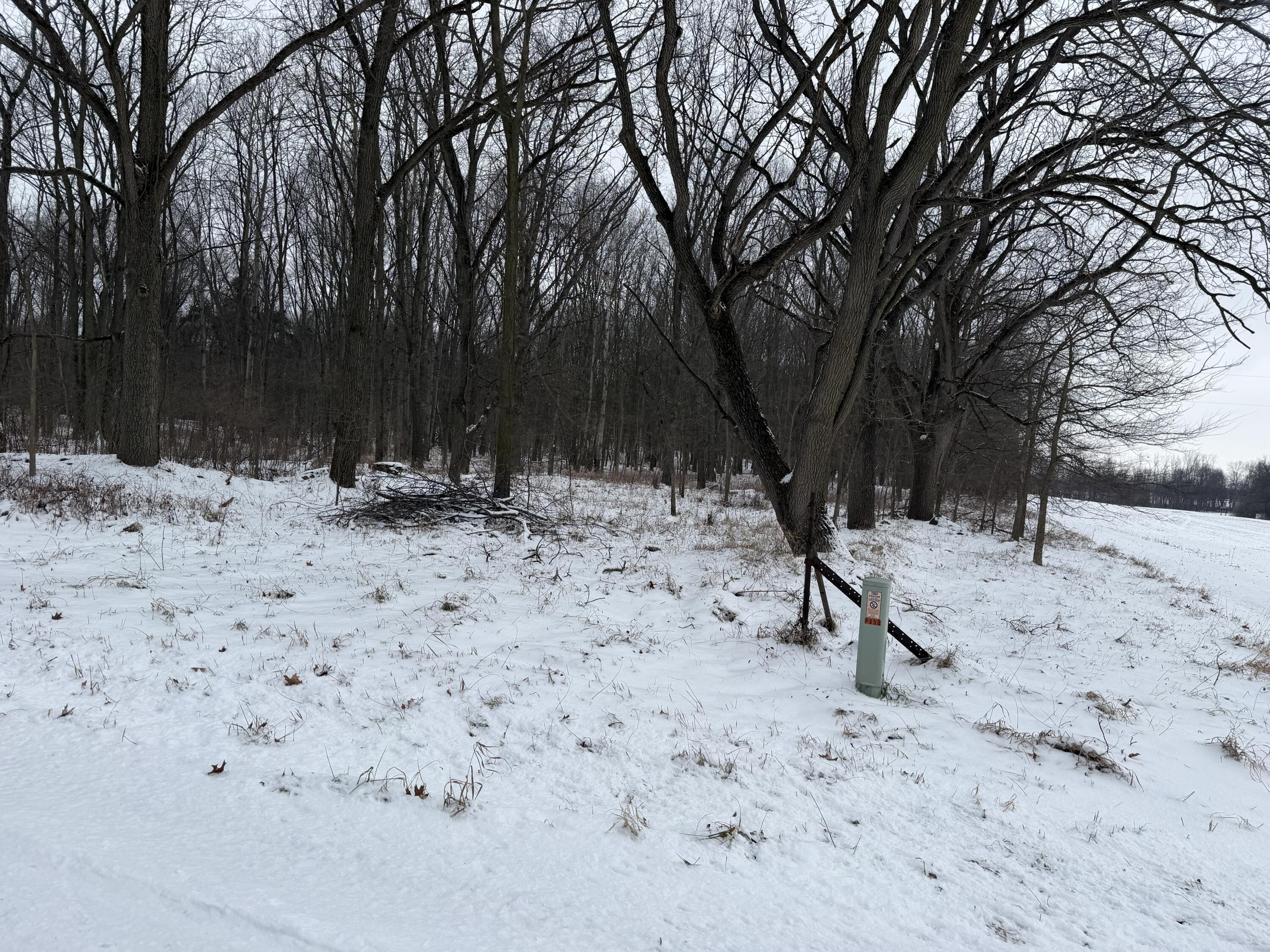 Whipple Road Bronson, MI 49028 - Photo 2 of 6 IMG_0724