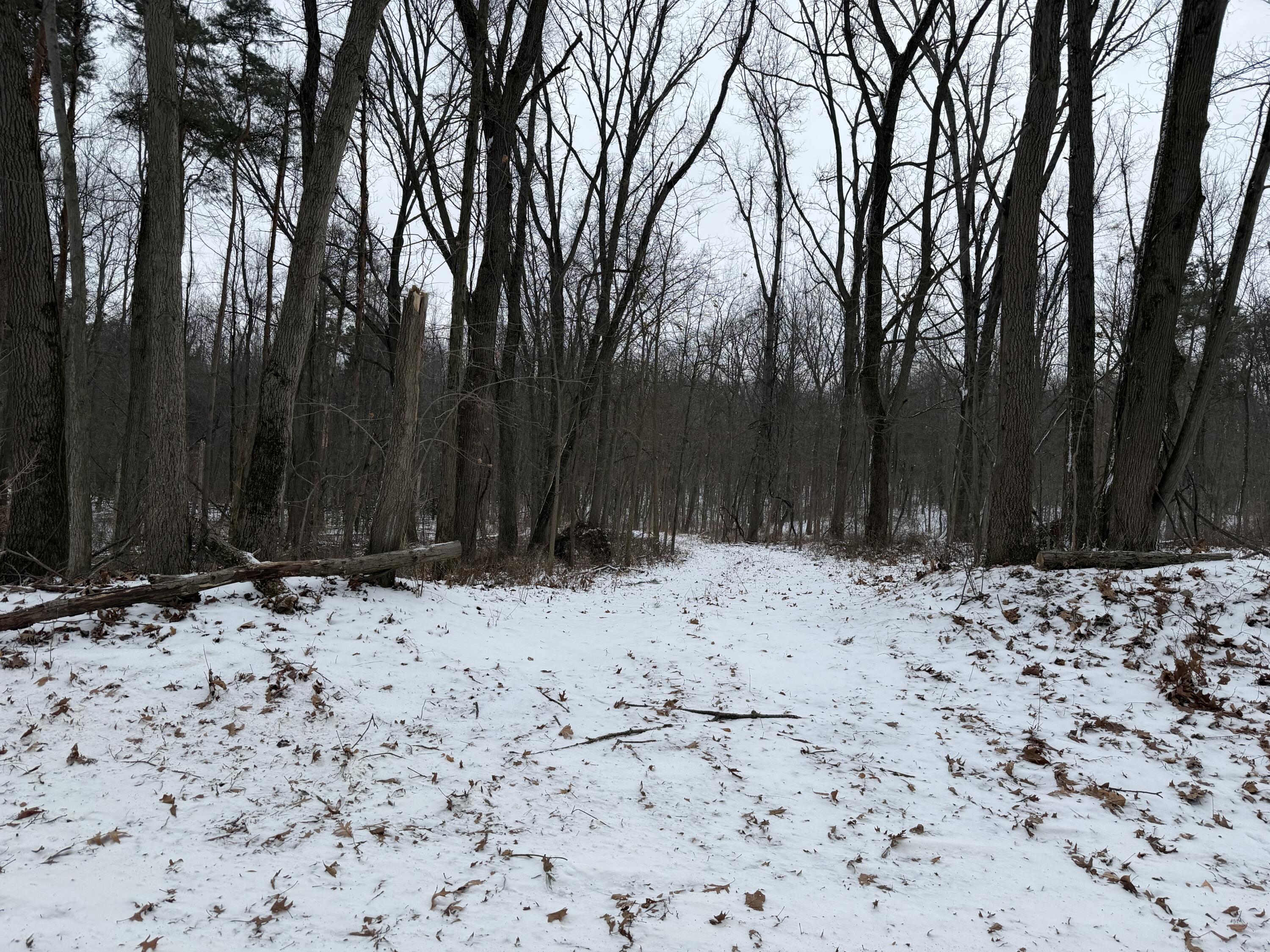 Whipple Road Bronson, MI 49028 - Photo 3 of 6 IMG_0723