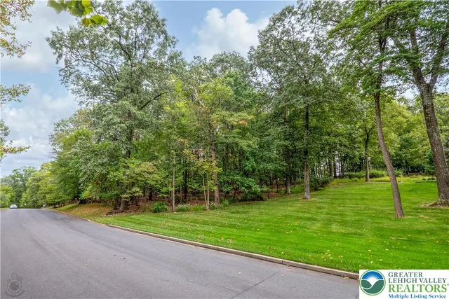 a view of a park with large trees