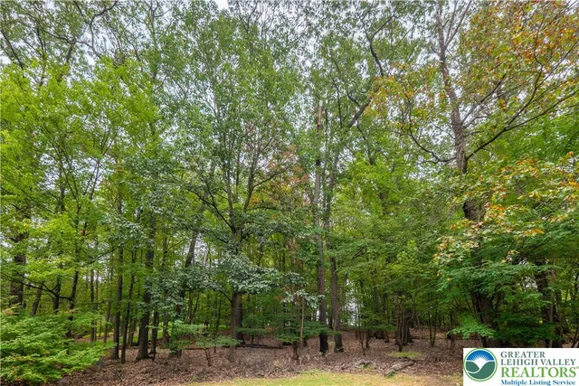 a view of a street with of trees