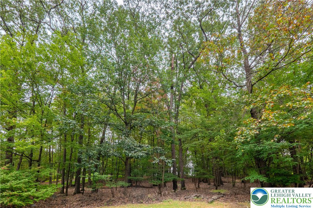 2550 Ballybunion Road Center Valley, PA 18034 - Photo 2 of 5 a view of a street with of trees