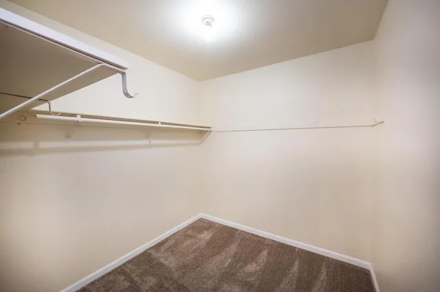 a view of city and ocean