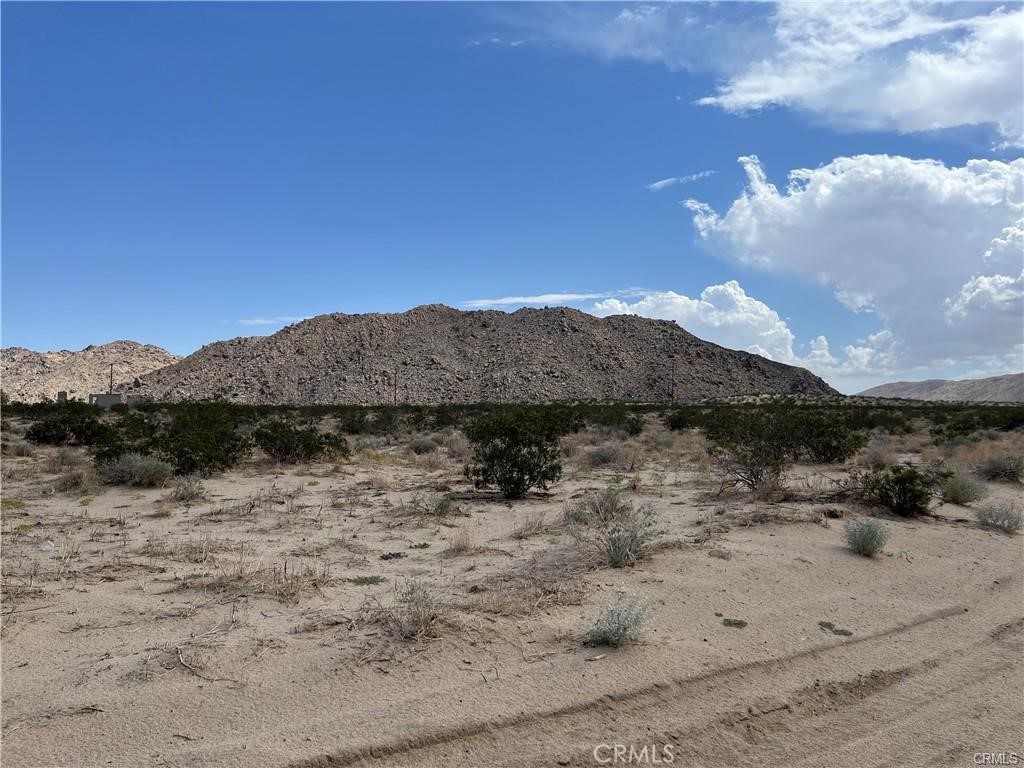 0 Bodick Road Landers, CA 92285 - Photo 3 of 8