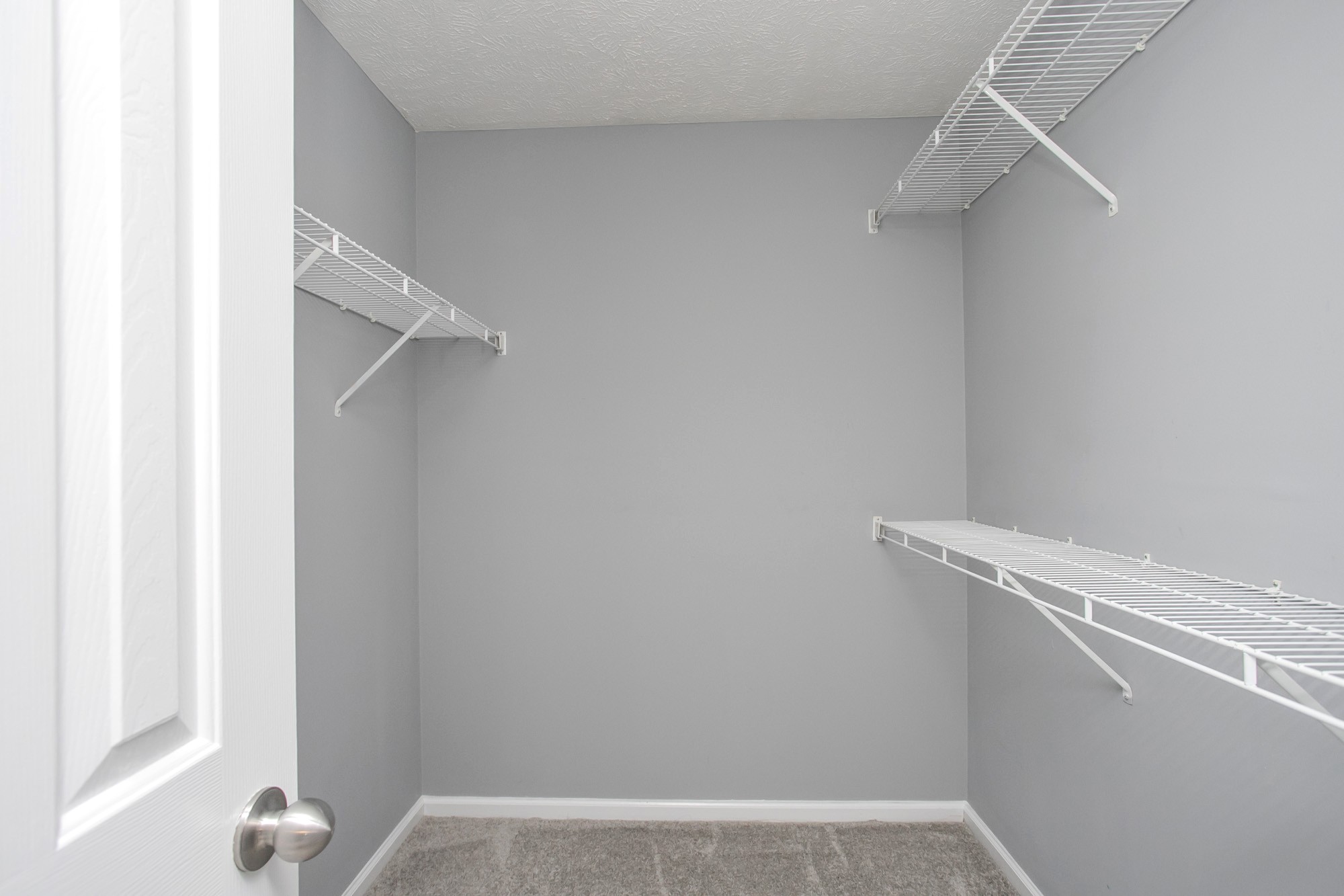 1516 Holden Court Murfreesboro, TN 37128 - Photo 8 of 23 a view of an empty walk in closet