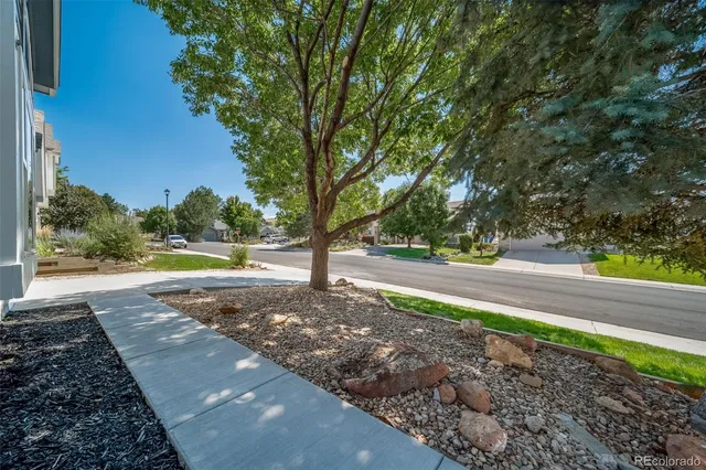 a view of a yard with plants and trees