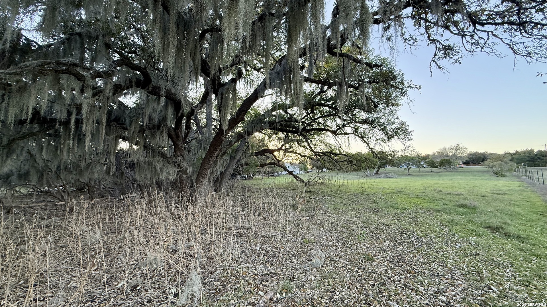 638 Cool Spring Drive Spring Branch, TX 78070 - Photo 13 of 16 a view of outdoor space and yard