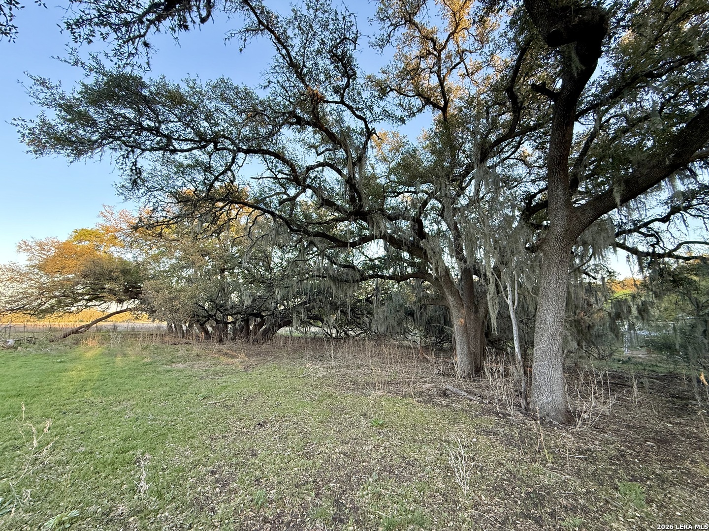 638 Cool Spring Drive Spring Branch, TX 78070 - Photo 4 of 16 a view of backyard with green space