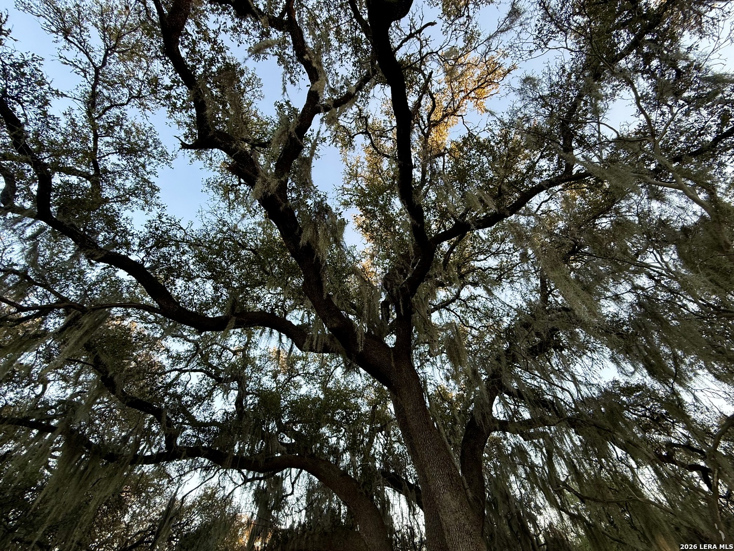 638 Cool Spring Drive Spring Branch, TX 78070 - Photo 5 of 16