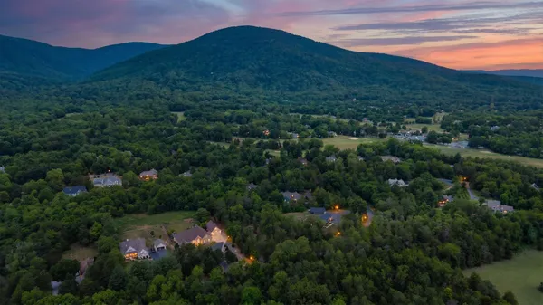 an aerial view of green landscape with trees houses and mountain view
