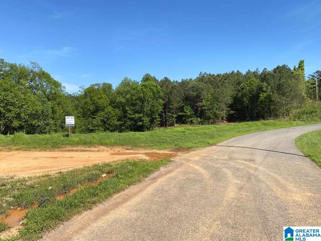 565 County Road, Unit DODGE Hanceville, AL 35077 - Photo 2 of 4