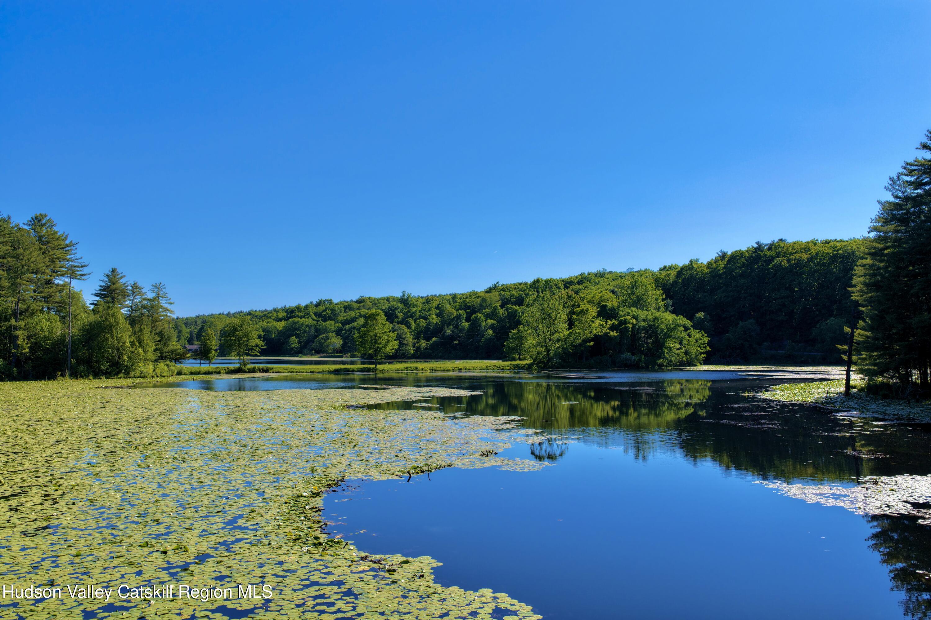 177 Webber Road Earlton, NY 12058 - Photo 40 of 50 a view of a lake with houses in the back