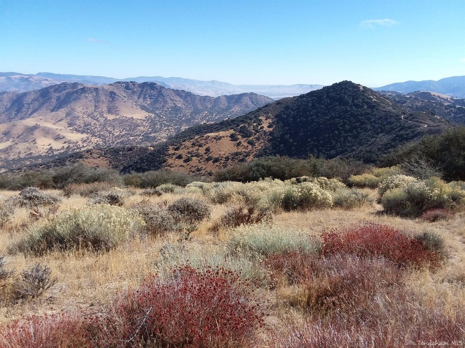 23650 El Rancho Drive Tehachapi, CA 93561 - Photo 11 of 14 Gallery Image 11