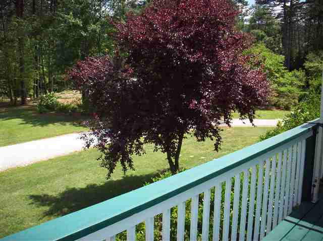 2000 Little Texas Road Travelers Rest, SC 29690 - Photo 20 of 25 Gallery Image 20