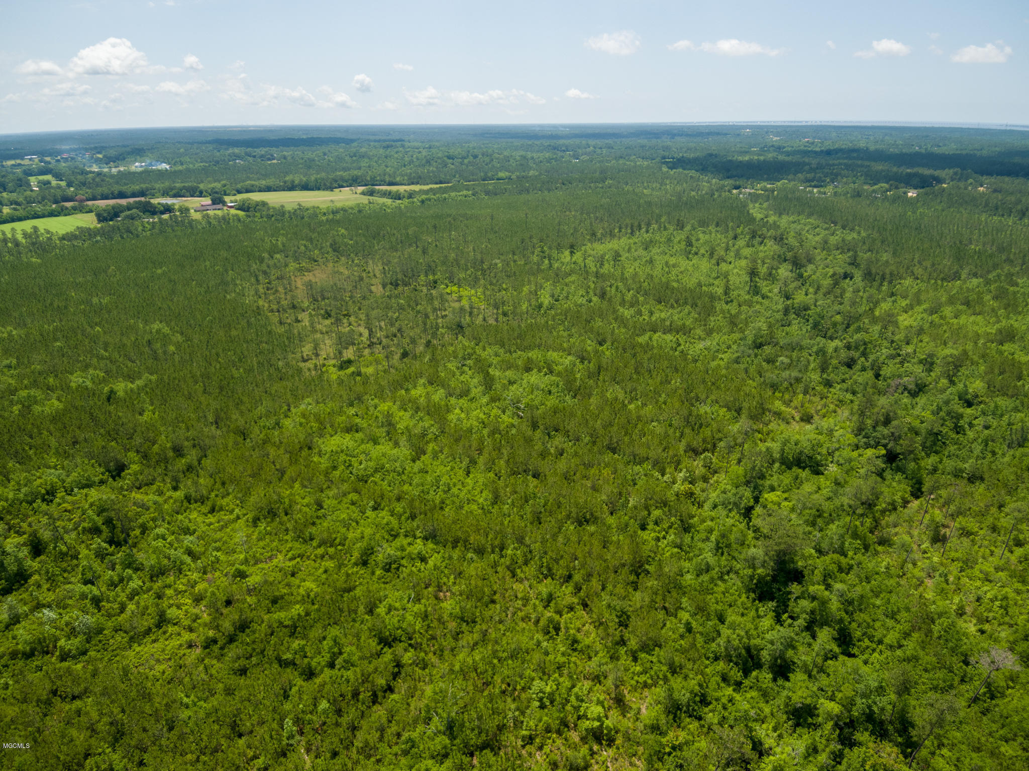 D D Mcleod Country Road Pass Christian, MS 39571 - Photo 11 of 13 Ashman_Runnymede-Standard-Res-7