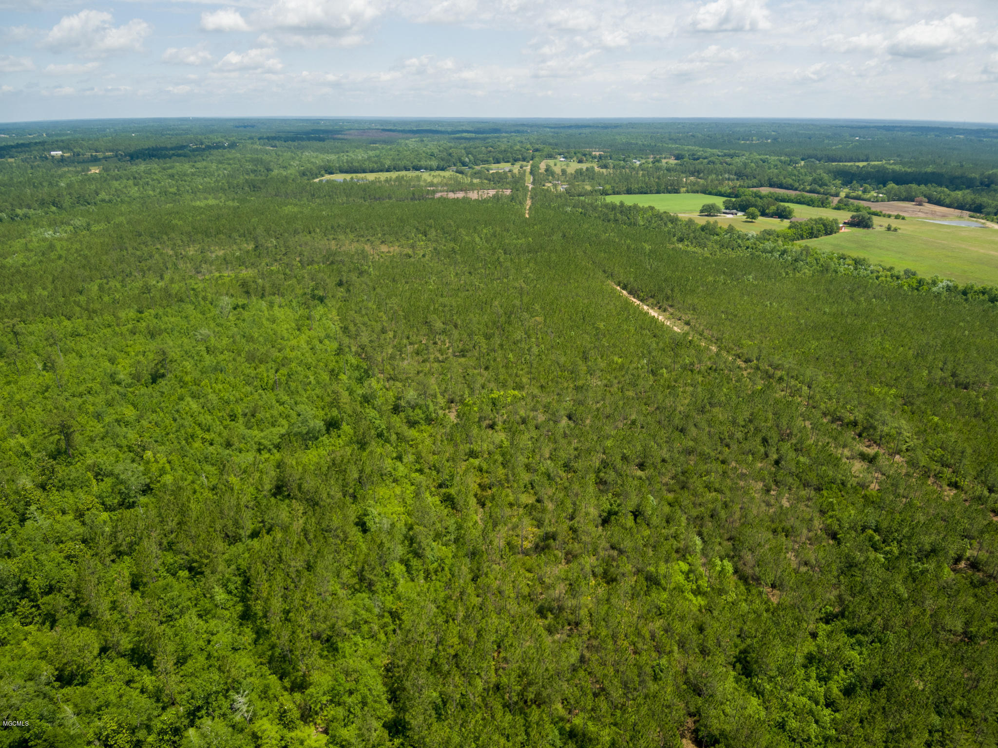 D D Mcleod Country Road Pass Christian, MS 39571 - Photo 13 of 13 Ashman_Runnymede-Standard-Res-10