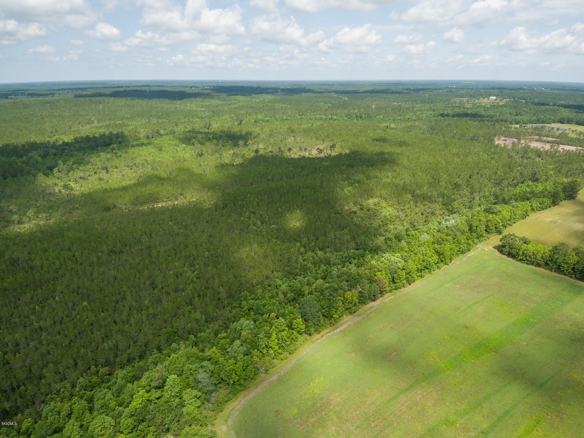 D D Mcleod Country Road Pass Christian, MS 39571 - Photo 3 of 13 Ashman_Runnymede-Standard-Res-3