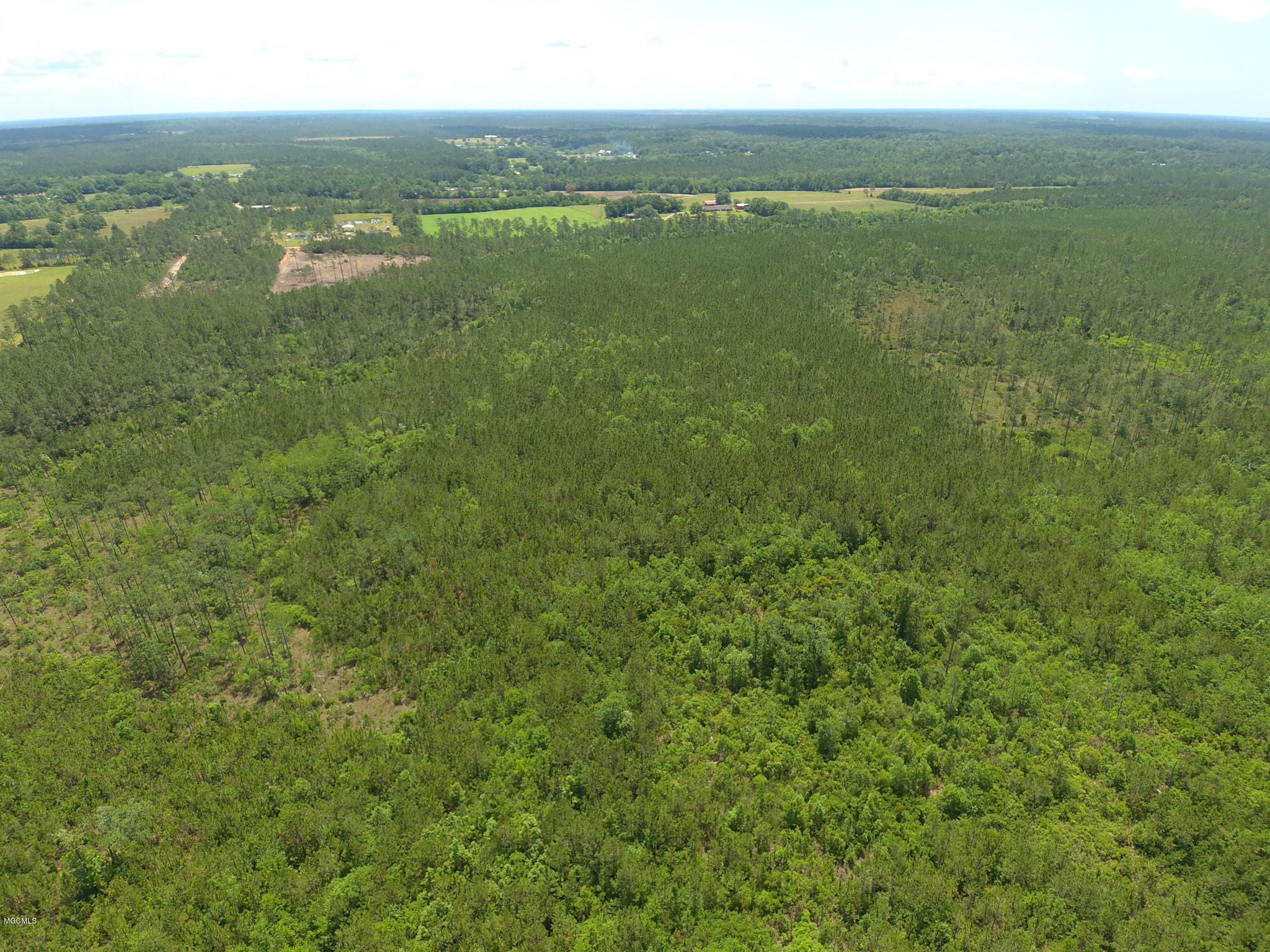 D D Mcleod Country Road Pass Christian, MS 39571 - Photo 10 of 13 Ashman_Runnymede-Standard-Res-6