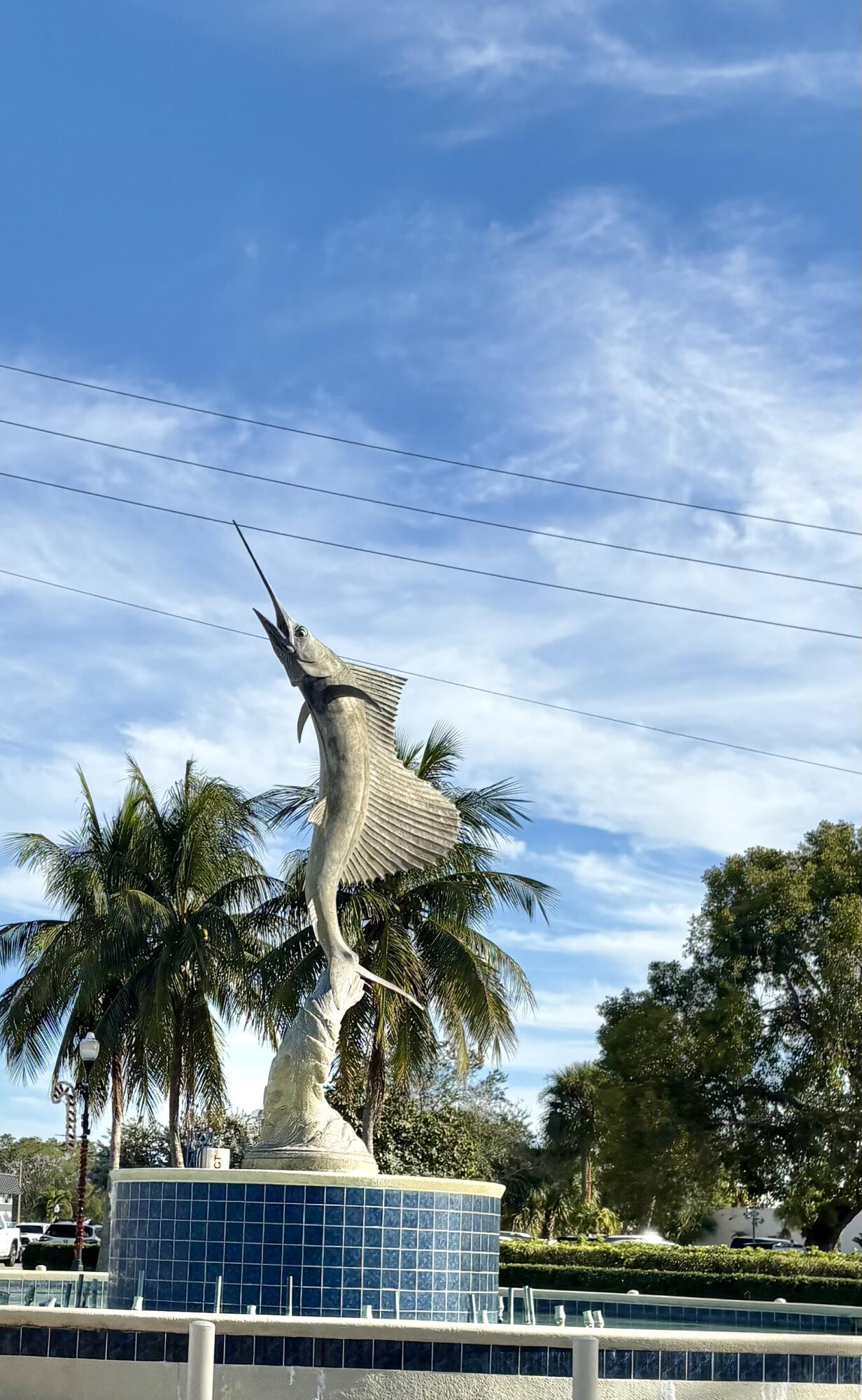 206 Osprey Preserve Boulevard Stuart, FL 34994 - Photo 52 of 53 IMG_9679