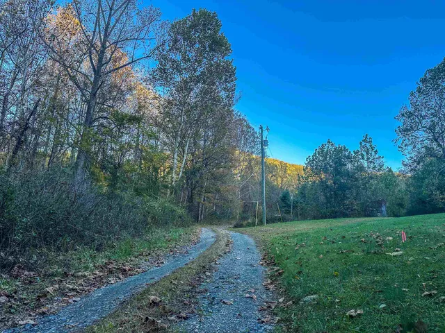 a view of a yard with plants and trees