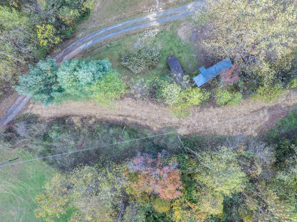 a view of a yard