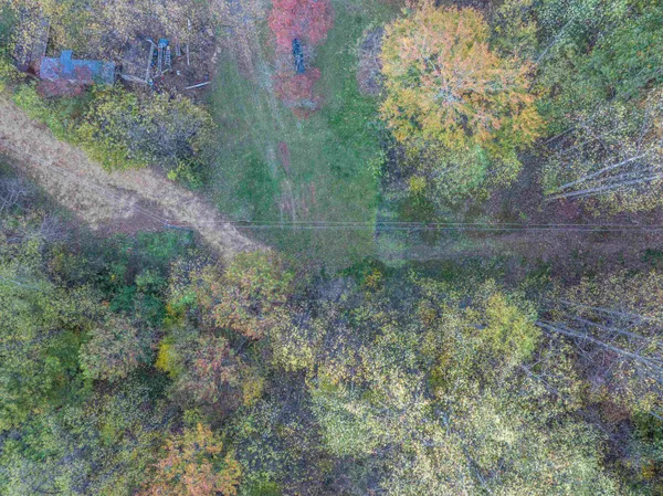a view of a forest with lots of trees