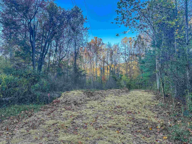 a view of city and mountain