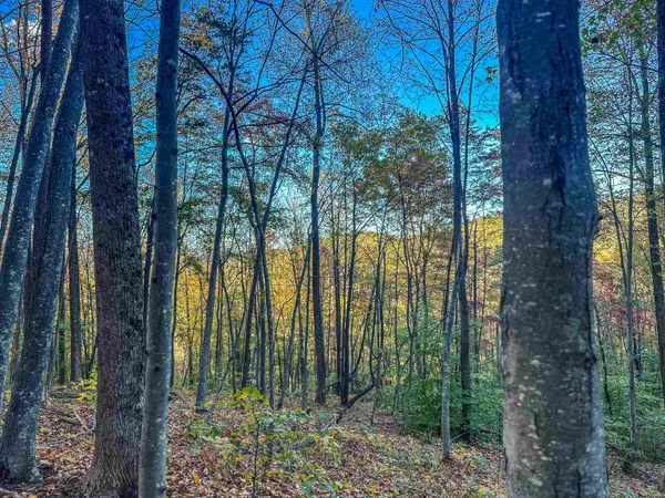 a view of outdoor space and garden