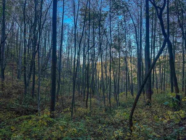 a view of houses with outdoor space