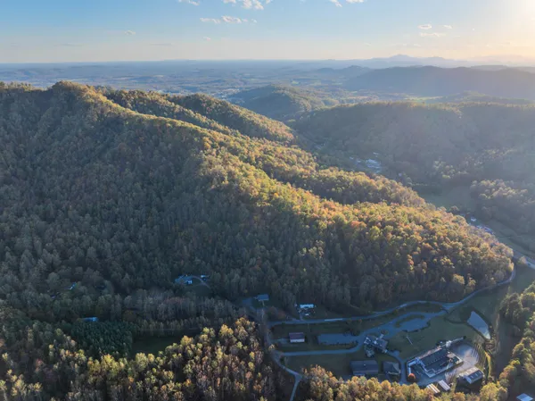 a view of tree next to a yard