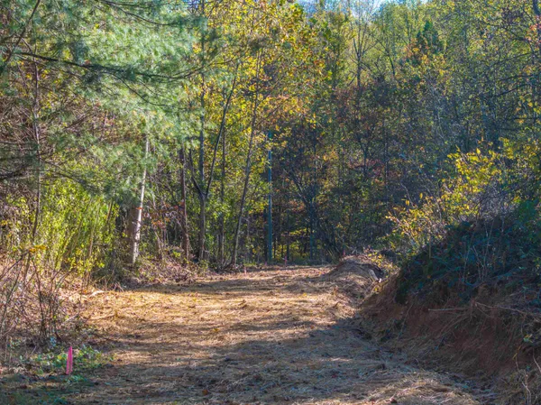a view of a outdoor space