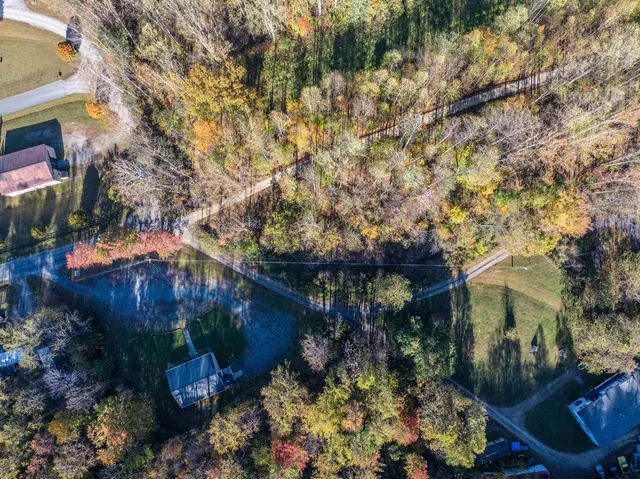 a flag is sitting in the middle of the forest