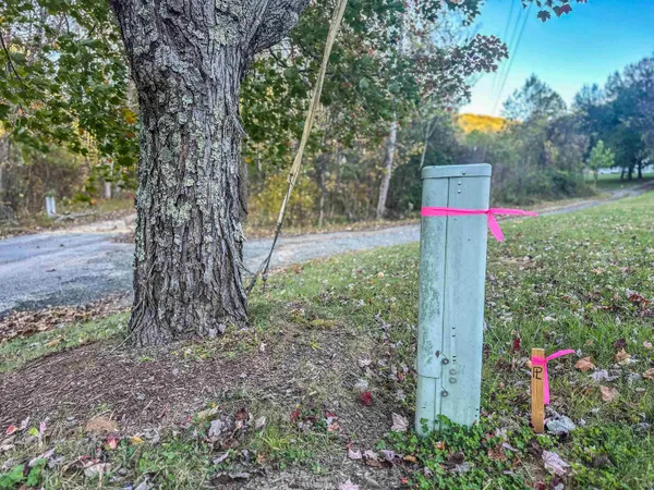 a view of backyard with green space