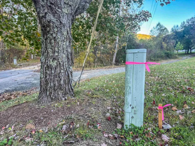 a view of backyard with green space