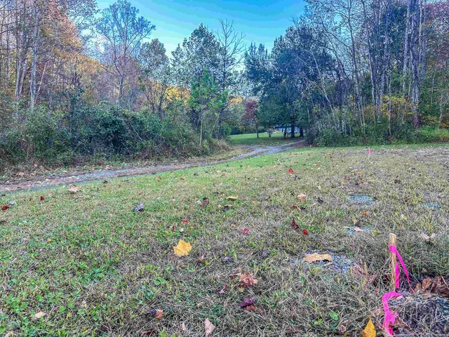 a green field with lots of trees in the background